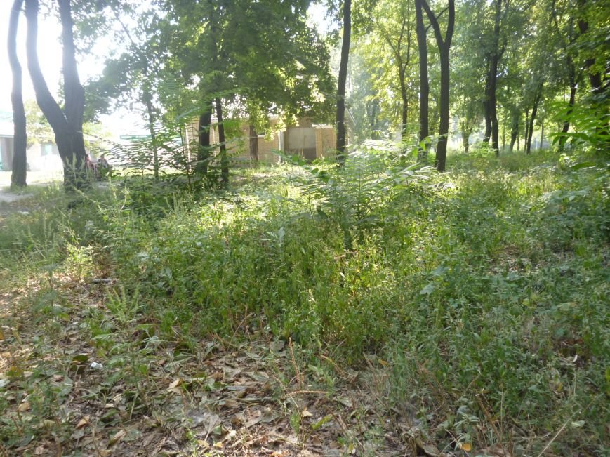 P1060518