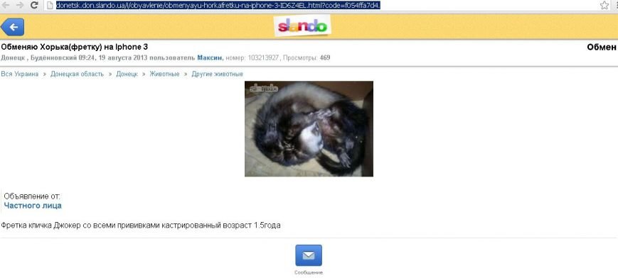 хорек хорек
