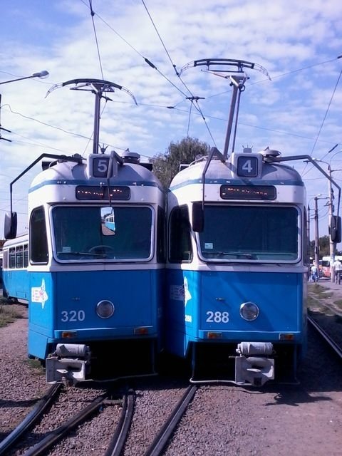 1155579