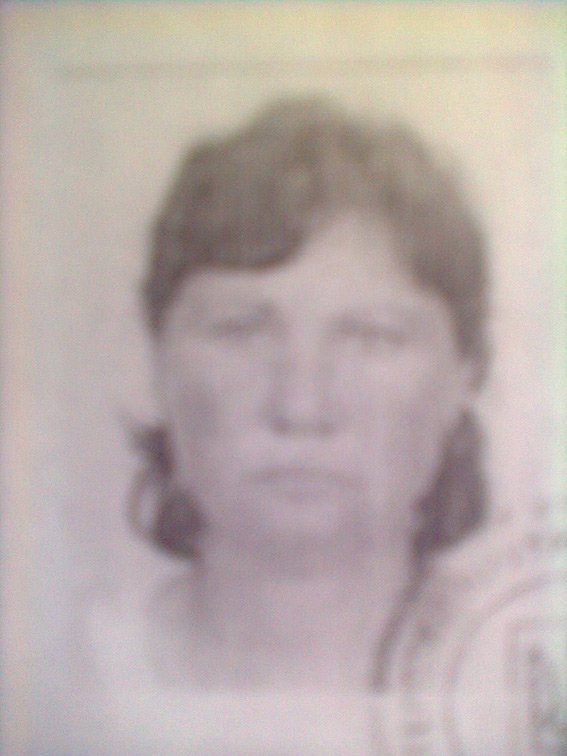PM583image001