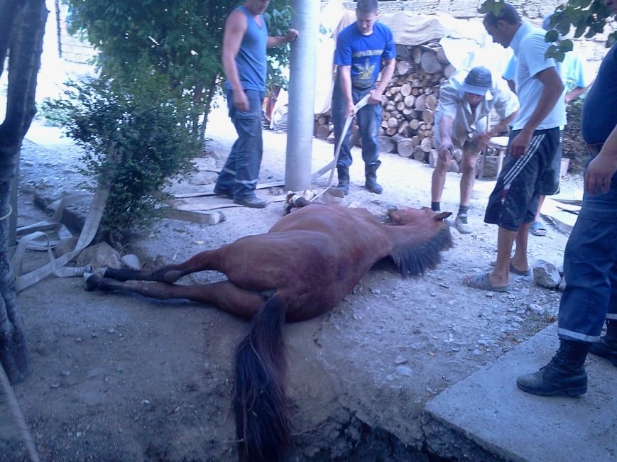 Foto0029