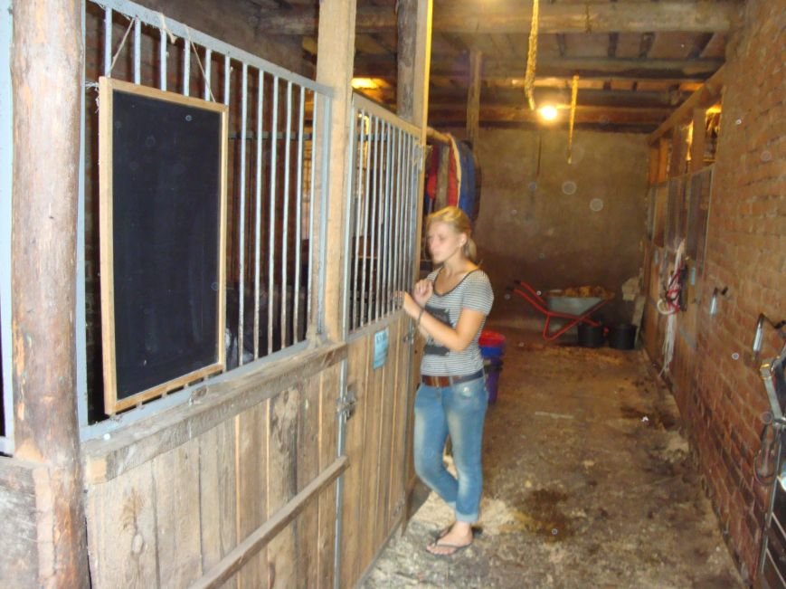 DSC06267