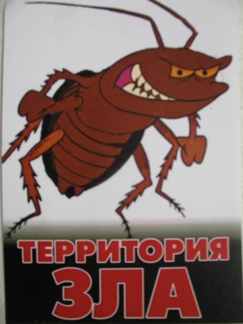 zlo