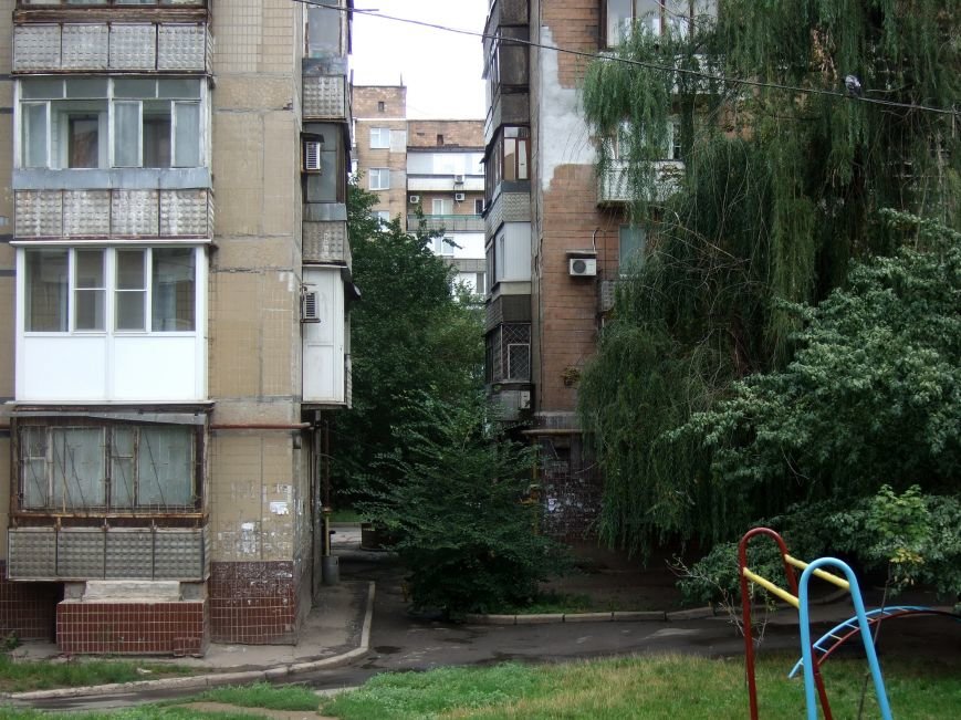 DSCF4796