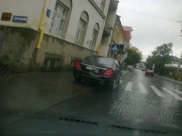 авто на зебрі авто на зебрі