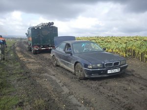 DSC00530