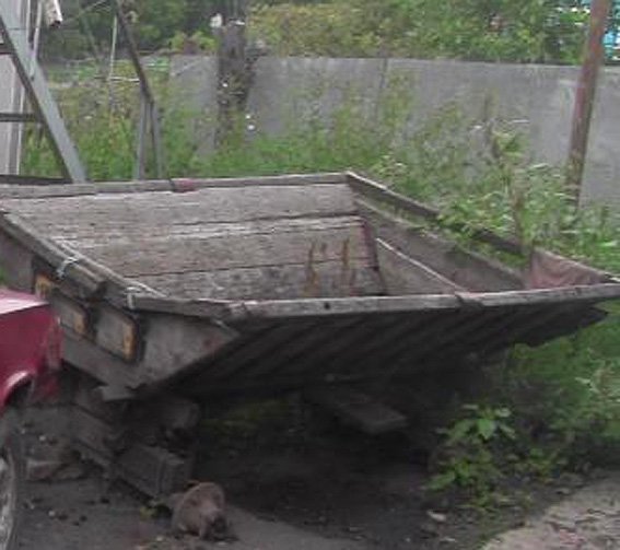 PM664image002