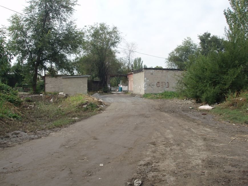 P9181333