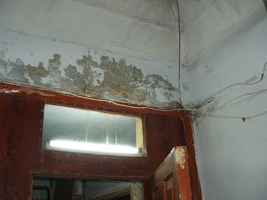 P9181323