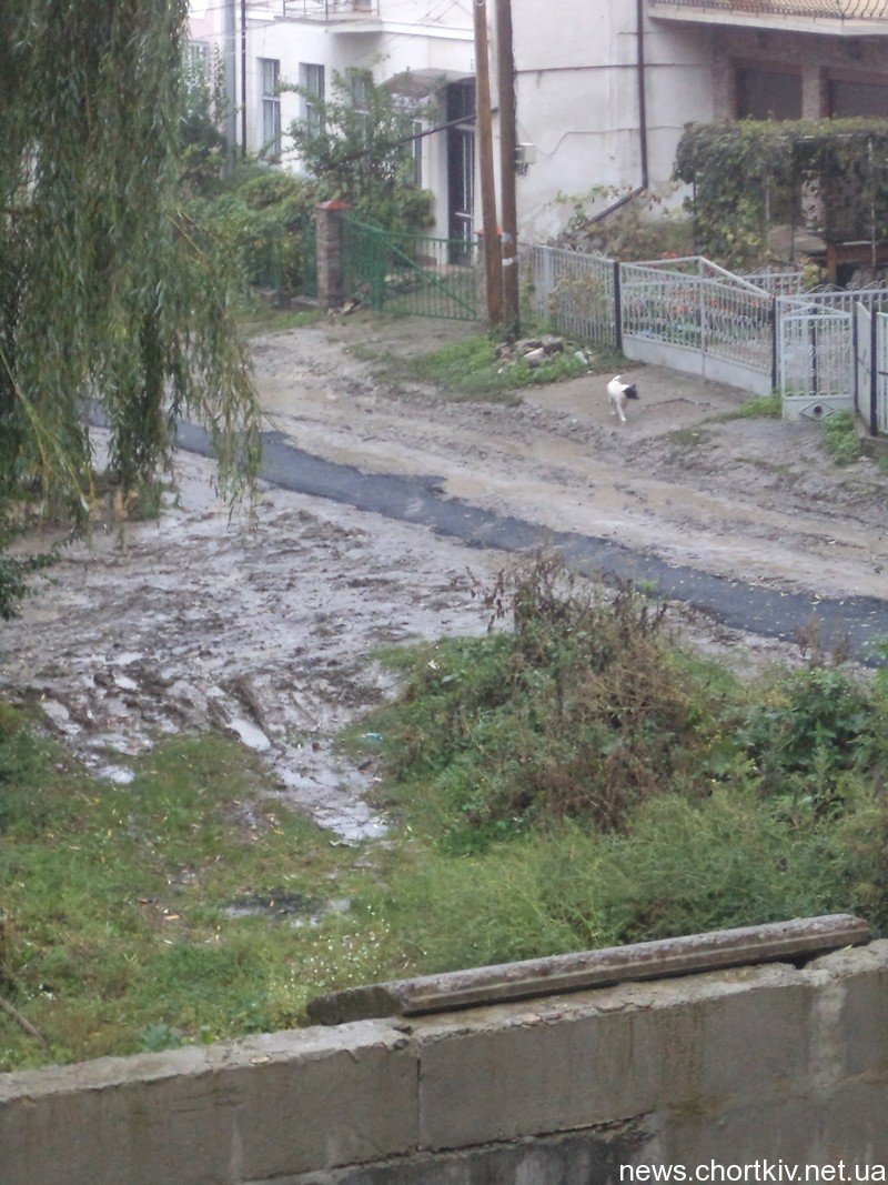 DSC01165