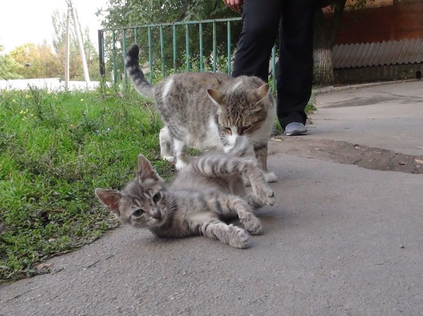 DSC02644_новый размер DSC02644_новый размер