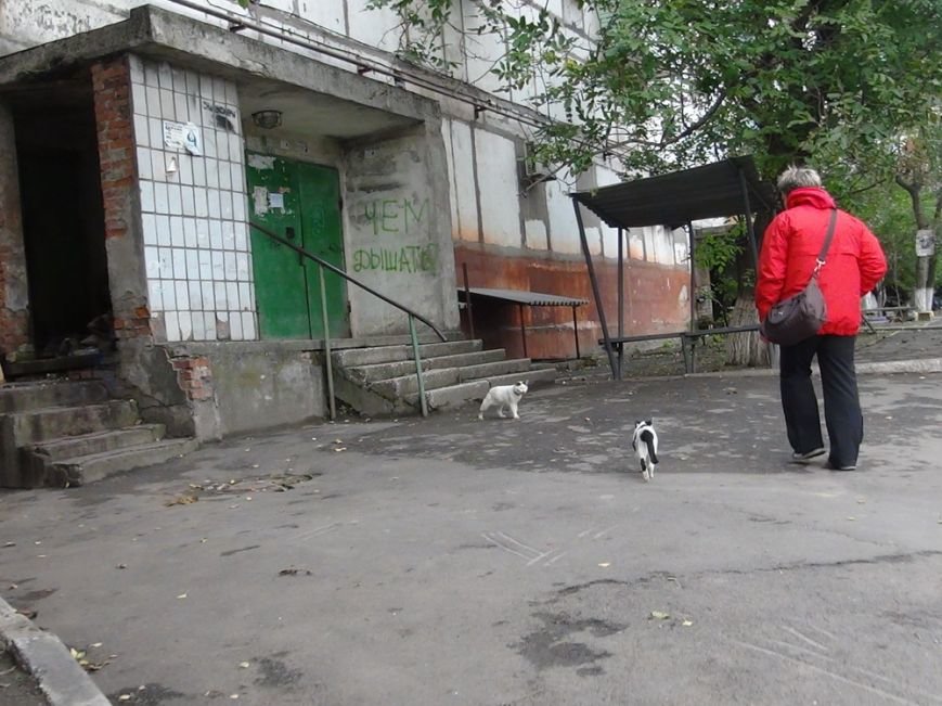 DSC02630_новый размер DSC02630_новый размер