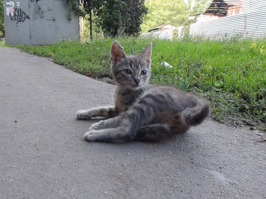 DSC02642_новый размер DSC02642_новый размер