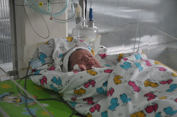 PM938image002