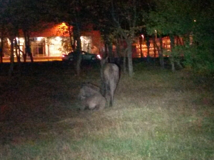 20130927_205032_resized