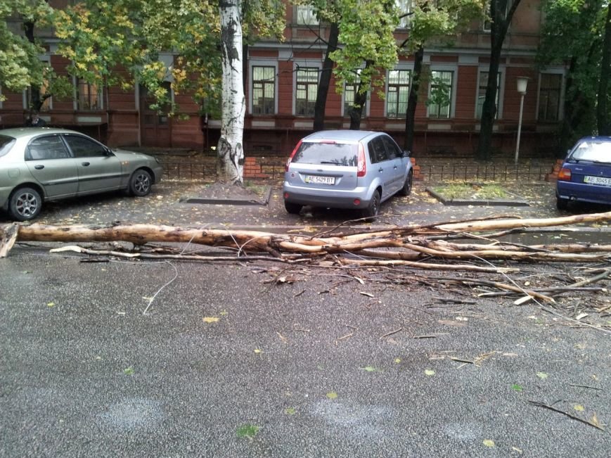 гончара2 гончара2