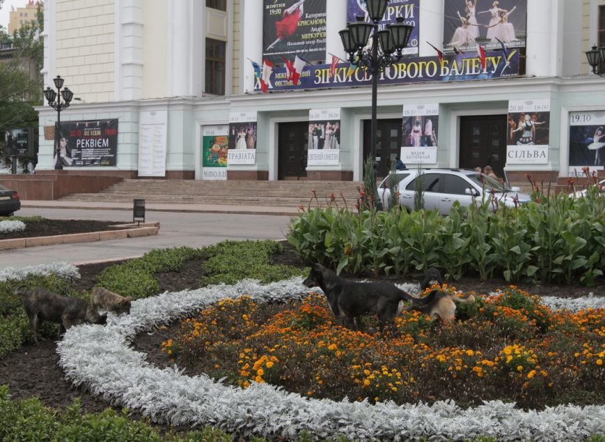 IMG_8573_новый размер IMG_8573_новый размер