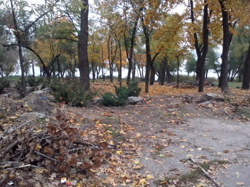 тарас13 тарас13