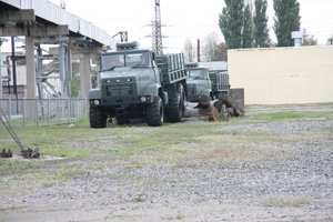 IMG_2278