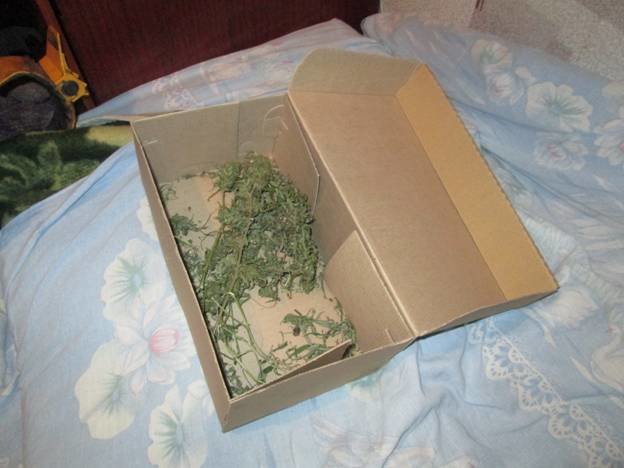 PM706image004