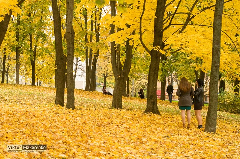осень в ровно8 осень в ровно8