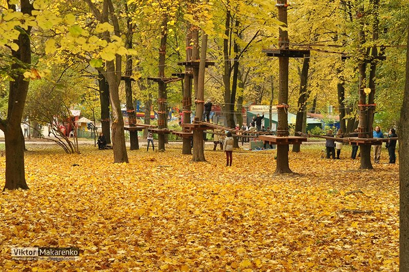 осень в ровно1 осень в ровно1