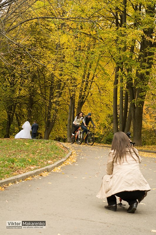 осень в ровно 9 осень в ровно 9