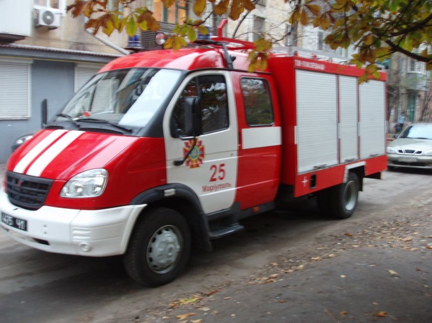 PA261531