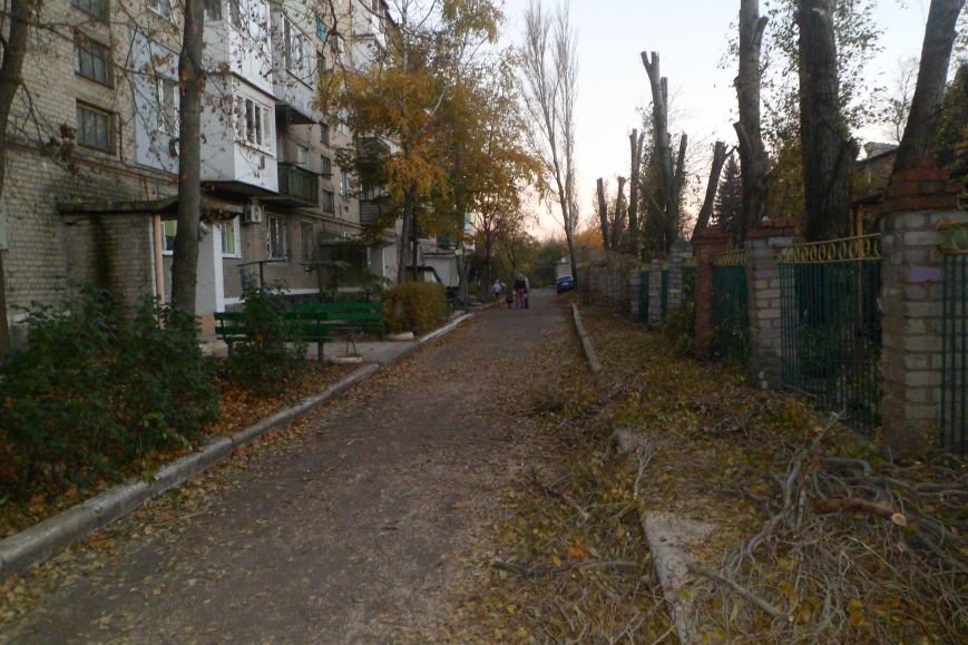 SAM_1564