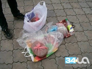 спаниель1 спаниель1