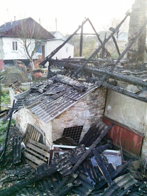 novograd_3