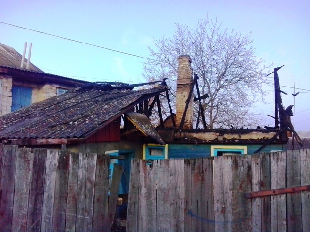 novograd_4