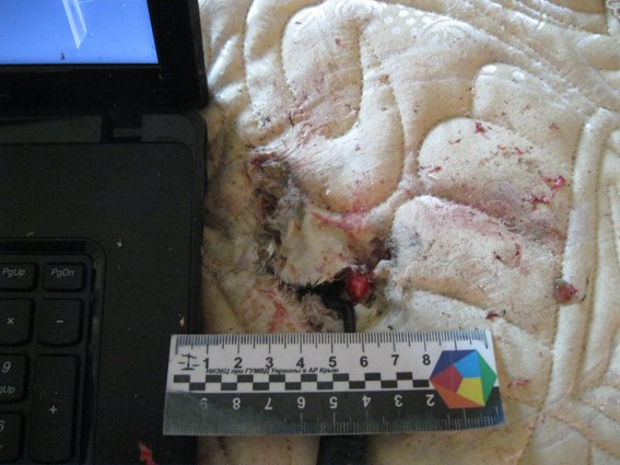 PM551image004