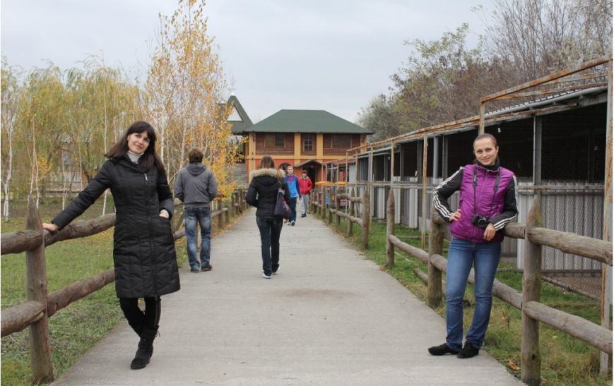 Снимок-2 Снимок-2