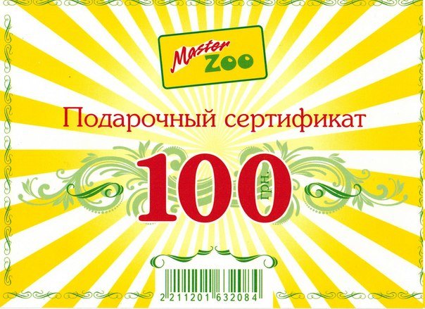 I_BgoNWZtoI