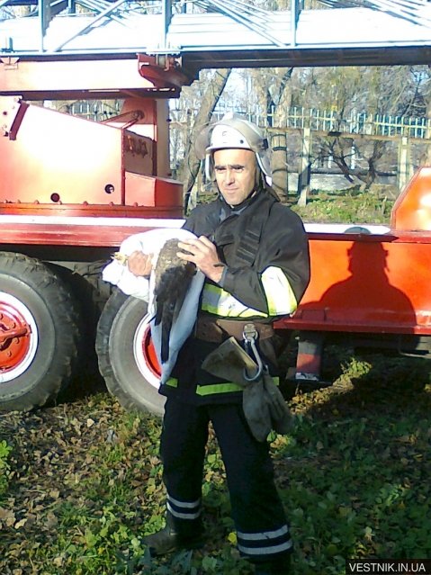 1384023134_foto1371