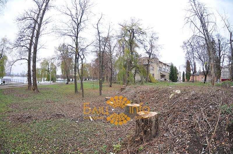 дерева5 дерева5
