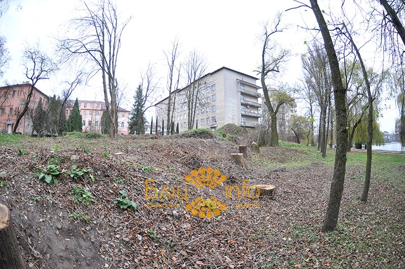 дерева2 дерева2