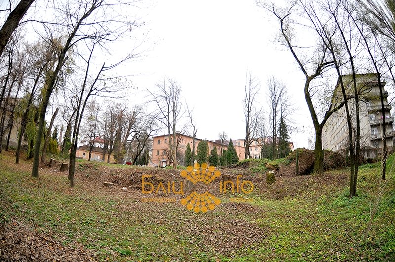 дерева3 дерева3