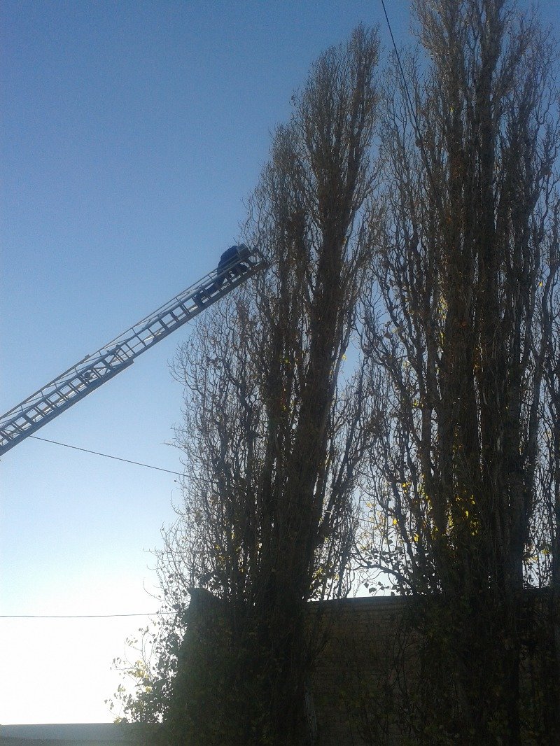 20131118_142501