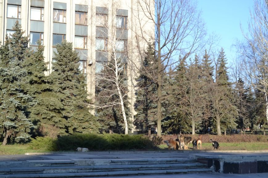 Изображение 001 Изображение 001