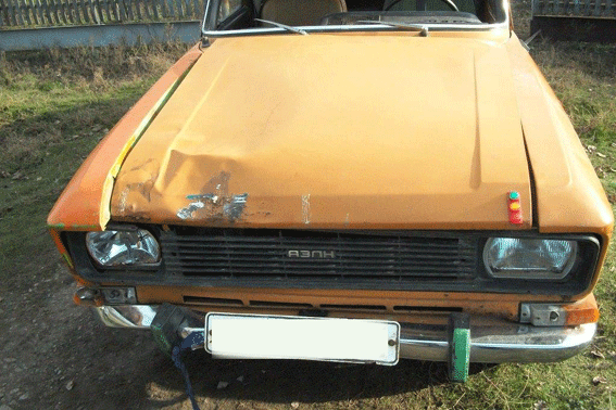 PM52image002