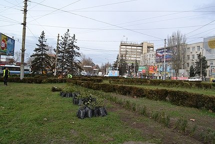 ййййй ййййй