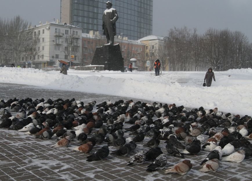 IMG_5892_новый размер IMG_5892_новый размер