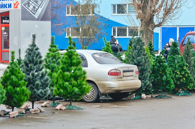 How much is the fish? В Луганске прошла Новогодняя ярмарка..., фото-14 How much is the fish? В Луганске прошла Новогодняя ярмарка (ФОТО), фото-14