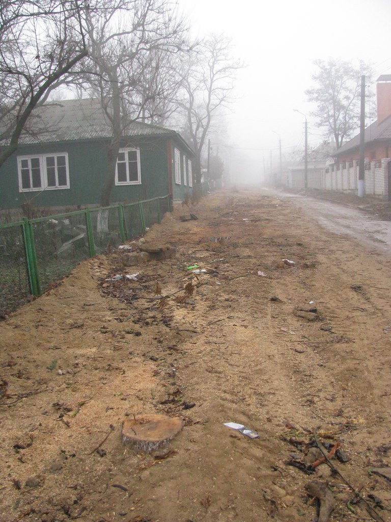 В Очакове вырубили деревья, которые мешали провести газ и в..., фото-1 В Очакове вырубили деревья, которые мешали провести газ и воду в дом родственника николаевского депутата, фото-1