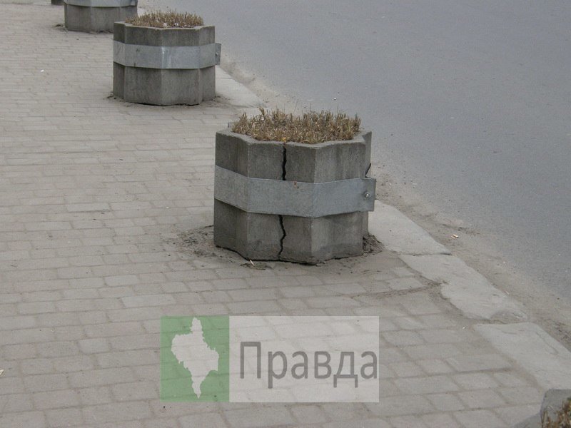 клумби2 клумби2