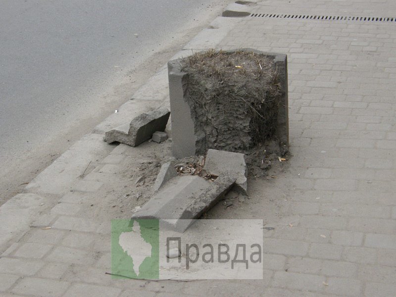 клумби3 клумби3