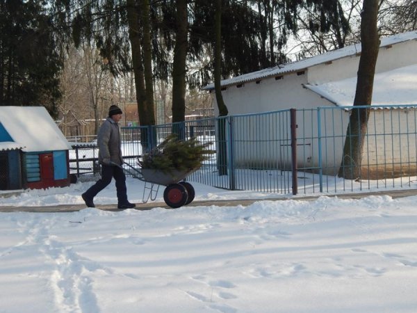 зима в зоопарке2 зима в зоопарке2