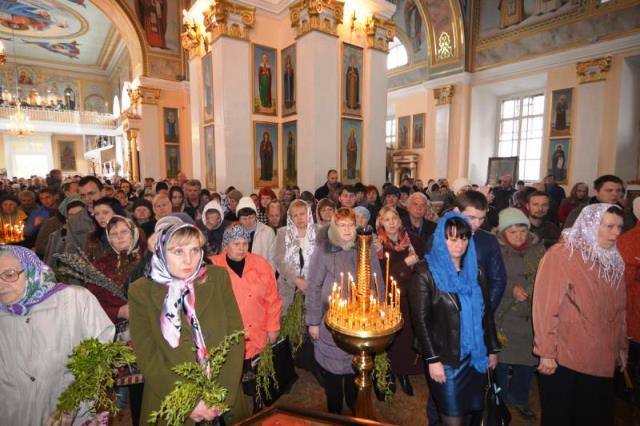 вербное2 вербное2